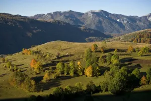 Images Dated 9th October 2008: Komarnica Canyon landscape, Durmitor NP, Montenegro, October 2008