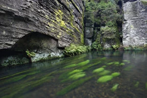 Krinice River flowing past rock faces, Dlouhy Dul, Ceske Svycarsko / Bohemian Switzerland