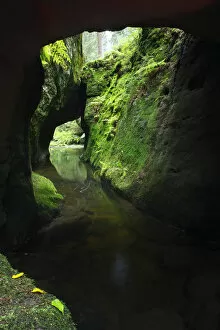 Krinice River flowing through tunnel formed by rocks, Kyov, Ceske Svycarsko / Bohemian