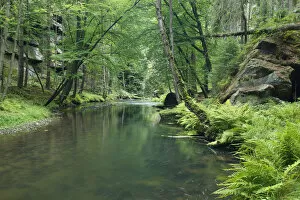 Krinice River flowing through wood with large rocks, Dlouhy Dul, Ceske Svycarsko