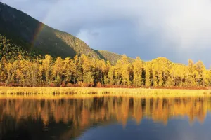 Lake Baikal Prints: Lake Baikal landscape in autumn, trees reflected in water. Zabaikalsky National Park