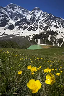 Images Dated 25th June 2008: Lake Donguzorun with Mount Donguzorun mountains behind, meadow flowers (Ranunculus sp) Caucasus