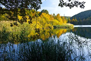 Lakes Prints: Lake with forest reflected in surface, Plitvice Lakes National Park, Lika, Croatia