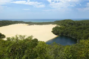 Lake Wabby among sand dunes and forest. Fraser Island UNESCO World Heritage Site