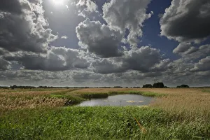 Prints of Lakenheath Fen RSPB Reserve, Suffolk, UK, May 2011 2020VISION Prints: Lakenheath Fen RSPB Reserve, Suffolk, UK, May 2011