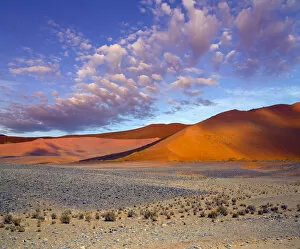 Images Dated 14th February 2020: Landscape of the Namib desert, Sossusvlei region, Namibia, March