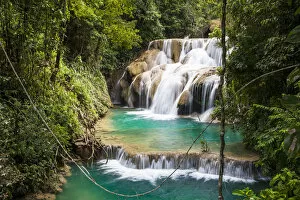 Rainforest Gallery: Las Golondrinas Waterfalls, Montes Azules Biosphere Reserve, Chiapas. Mexico, March 2017