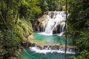 Las Golondrinas Waterfalls, Montes Azules Biosphere Reserve, Chiapas. Mexico, March 2017