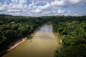 Peru Prints: Las Piedras river, Madre de dios, Amazon rainforest, Peru. June, 2024