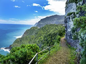 Path Prints: Laurel (Laurus nobilis) trees covering cliffs with steep mountain footpath along coast