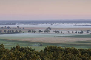 Lenzer Wische with light low lying mist at dawn, Elbe Biosphere Reserve, Lower Saxony