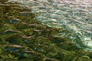 Russia Prints: Light reflecting on the surface of Lake Baikal, Siberia, Russia. October, 2021