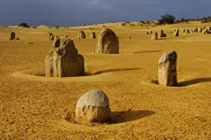 Images Dated 9th July 2009: Limestone formations in the Pinnacles desert, Nambung National park, Western Australia