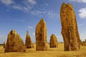 Images Dated 9th July 2009: Limestone formations in the Pinnacles desert, Nambung National Park, Western Australia