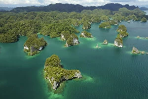 Rainforest Gallery: Limestone Islands in the Northern part of Kabui Bay. Waigeo Island at the top, Raja Ampat Islands