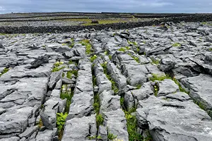 County Galway Prints: Limestone pavement, Inishmaan, Aran Islands