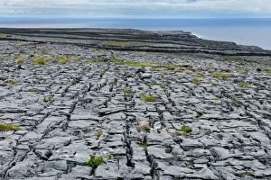 County Galway Prints: Limestone pavement, Inishmaan, Aran Islands