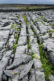 County Galway Prints: Limestone pavement, Inishmaan, Aran Islands