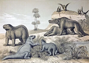 Images Dated 21st March 2012: Lithograph with later hand colouring combining two of Benjamin Waterhouse Hawkins'