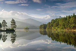 Landscape Collection: Loch an Eilein with wooded edges in morning sun, Cairngorms National Park, Scotland
