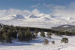 Landscape Collection: Lochnagar in winter, Balmoral, Aberdeenshire, Scotland, April 2016