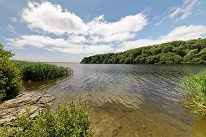 Surface Prints: Loe Pool, southwest view towards Loe Bar