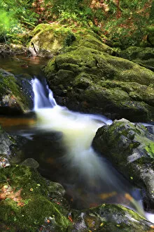 Devon Gallery: Long exposure of a Dartmoor stream, Devon, England, UK, August