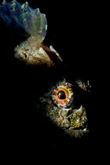 Images Dated 2010 May: 