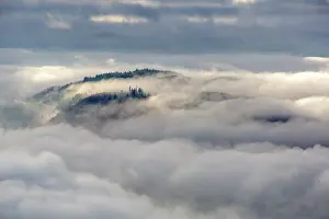 Lake District Prints: Low clouds move over Grizedale Forest, Lake District, Cumbria, UK, December 2020