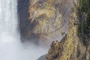 Steep Collection: Lower Falls at Artist Point, Yellowstone River. Yellowstone National Park, Wyoming