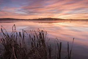 Lower Tamar Lake and reeds at sunrise, North Cornwall, UK. November 2014