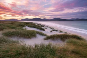 Gramineae Prints: Luskentyre beach/sands, marram grasses and early morning sunlight