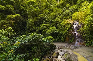 Manu Road with small waterfall, Manu National Park, Madre de Dios Peru. August 2013 Manu Road with small waterfall, Manu National Park, Madre de Dios Peru. August 2013