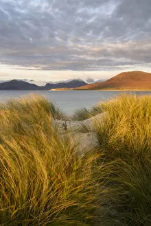 World Oceans Day 2021 Gallery: Marram grass (Ammophila arenaria) on dunes at Seilbost, view across bay to Luskentyre