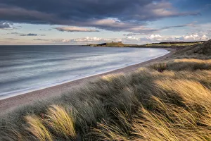 Marram grass and sand dunes at Embleton Bay looking toward Dunstanburgh Castle, Embleton