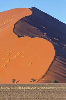 Orange Collection: Massive sand dunes of Namib Naukluft National Park, Namibia