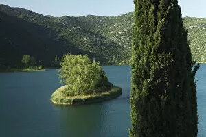 Images Dated 23rd May 2009: Mediterranean cypress (Cupressus sempervirens) on the edge of Ocua jezero, one of