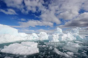 Images Dated 2009 April: 