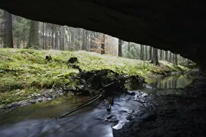 Images Dated 8th November 2008: Mezni Potok / Stream flowing under a rock, Rynartice, Ceske Svycarsko / Bohemian