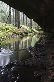 Images Dated 8th November 2008: Mezni Potok / Stream flowing underneath a rock, Rynartice, Ceske Svycarsko / Bohemian