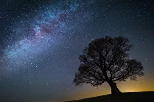 Editor's Picks: Milky Way in night sky with silhouette of tree, Brecon Beacons National Park, an