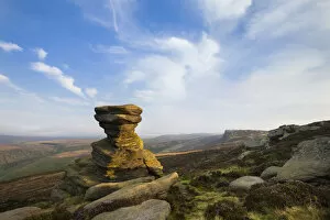 A millstone grit formation known as the Salt Cellar on Derwent Edge, with Common Heather