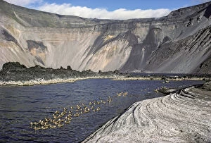 Mineral lake with White-cheeked pintails (Anas bahamensis) during quiet volcanic period