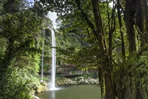 Rainforest Gallery: Misol-ha Waterfall, Ejido San Miguel, Salto de Agua Municipality, Chiapas. Mexico