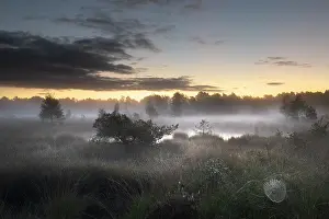 Brasschaat Prints: Mist over fens at dawn, Klein Schietveld, Brasschaat, Belgium. September, 2022