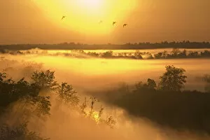 Images Dated 18th May 2009: Mist over the Kasari river at sunrise, Kloostri, Matsalu National Park, Estonia, May 2009
