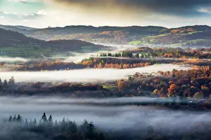 Lake District Prints: Mist over woodland at sunrise as seen from Todd Crag