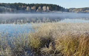 Autumn Prints: Misty lake on a cold autumn morning, Jyvaskyla, Central Finland, October 2015
