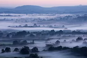 Misty morning in the Blackmore Vale, Dorset, England, UK, September 2015