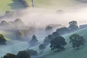 Misty morning view of Exmoor countryside from Winsford Hill, Exmoor National Park
